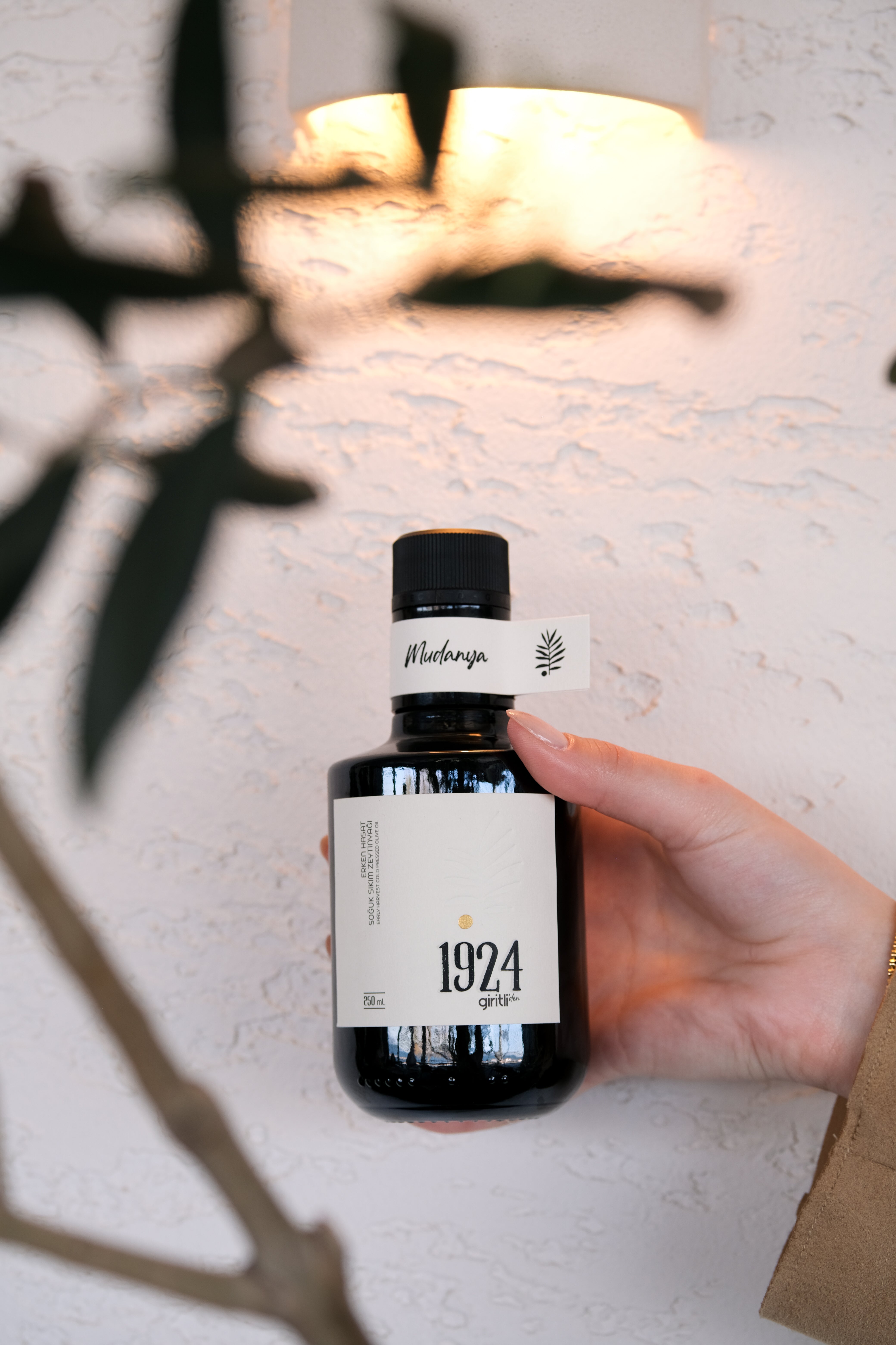 Early Harvest Premium Extra Virgin Olive Oil – 250 ml (Special Glass Bottle)