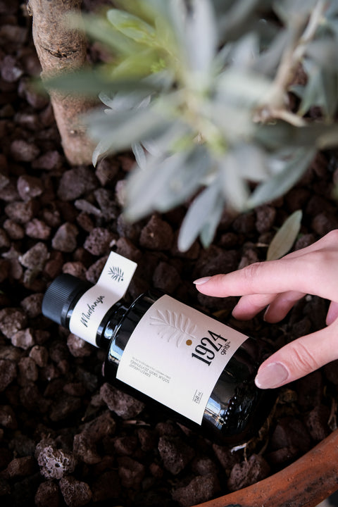 Early Harvest Premium Extra Virgin Olive Oil – 250 ml (Special Glass Bottle)